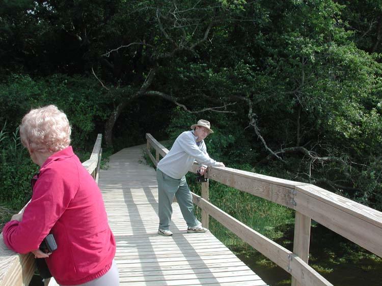 Mom and Dad on bridge.jpg 83.4K